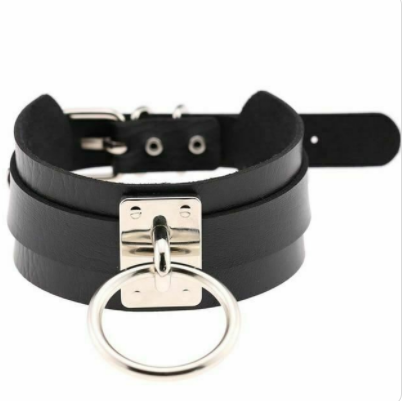 Metal Ring Restraint Collar