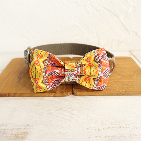 Collar and Leash Set